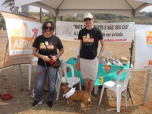 AbrigodosBichos e CÃOminhada SUCESSO TOTAL !