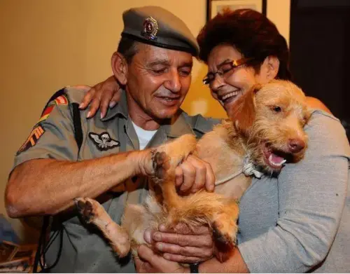 Após 14 dias CÃO é Encontrado em Aeroporto no RS