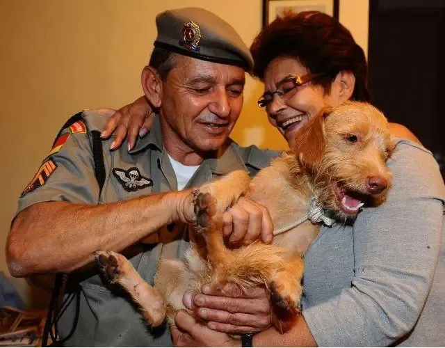 Após 14 dias CÃO é Encontrado em Aeroporto no RS