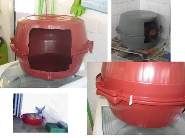 PROTEÇÃO BARATA para O INVERNO