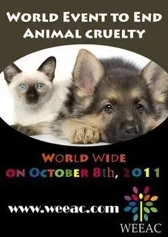 WEEAC BRAZIL - Blumenau SC