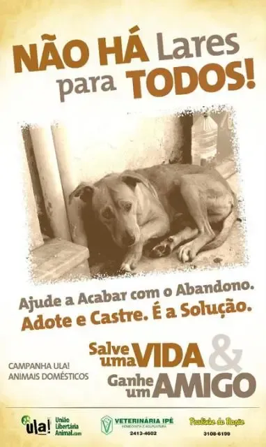 CASTRE GRATUITAMENTE seu Cão e Gato no Rio de Janeiro