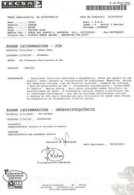 Cão SACRIFICADO INJUSTAMENTE em Presidente Prudente-SP