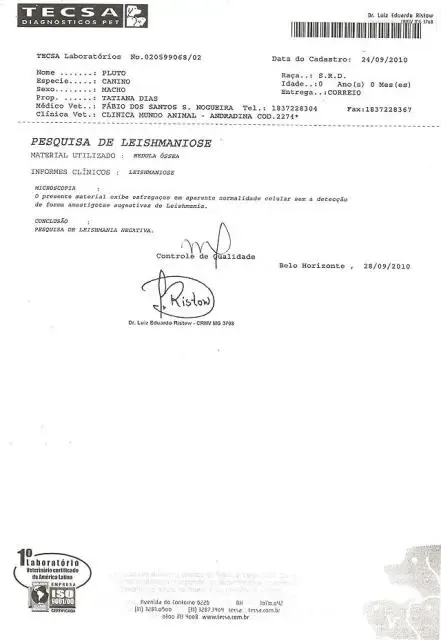 Cão SACRIFICADO INJUSTAMENTE em Presidente Prudente-SP