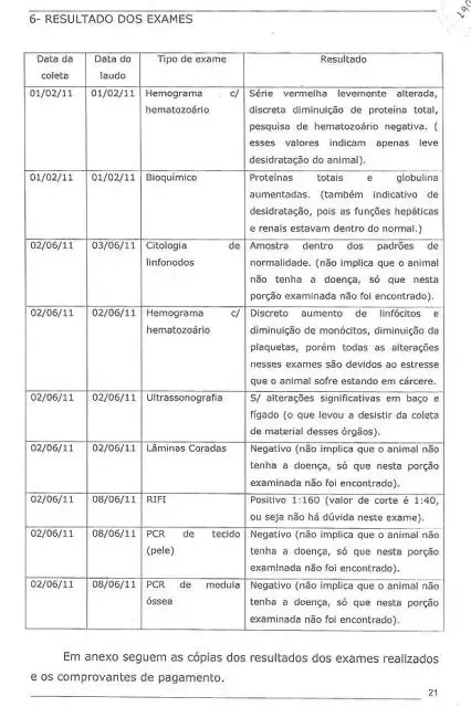 Cão SACRIFICADO INJUSTAMENTE em Presidente Prudente-SP