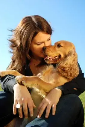 Contato com Cães libera hormônio ligado ao Amor