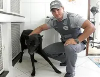 Cão que sobreviveu à execução terá novo lar