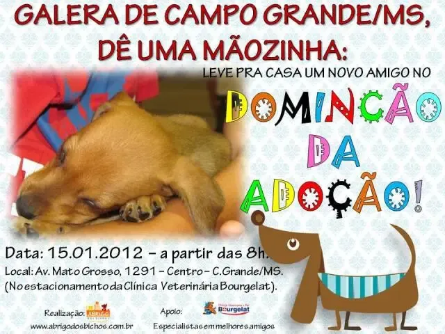 DominCão da AdoCão a partir das 8hs