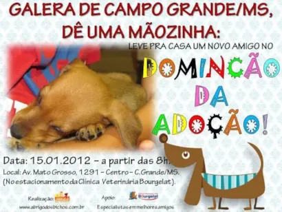 DominCão da AdoCão a partir das 8hs