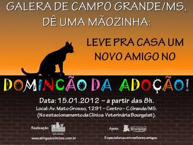 DominCão da AdoCão a partir das 8hs