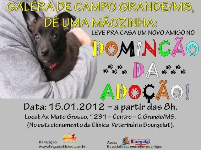 DominCão da AdoCão a partir das 8hs