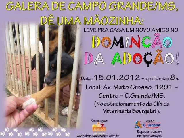 DominCão da AdoCão a partir das 8hs