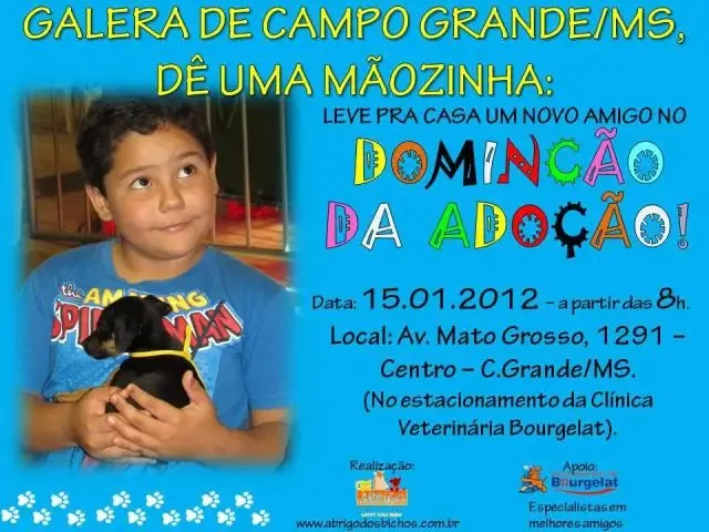 DominCão da AdoCão a partir das 8hs