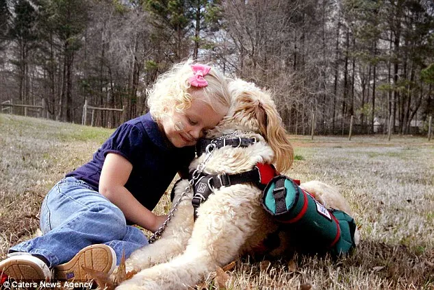 Cachorro mantém criança viva ao carregar um tubo de oxigênio para que ela possa respirar