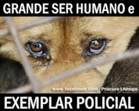Policial ajuda cão ferido com sensibilidade