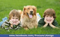Animais de Estimação e Bem-Estar