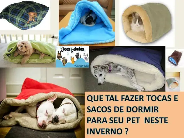 QUE TAL FAZER TOCAS E SACOS DE DORMIR PARA SEU PET NESTE INVERNO ?