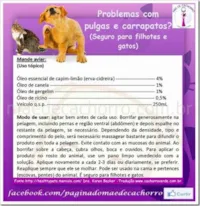 Receita Natural para Combater Pulgas e Carrapatos