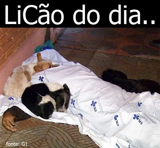 LiCÃO do Dia