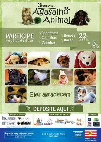 Participe da 3ª Campanha do Agasalho Animal em Blumenau. De 22/04 a 05/06, ajude a arrecadar agasalhos, ração e casinhas para animais em necessidade.