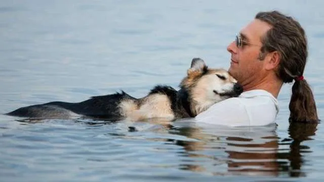 CÃO DE FOTO QUE COMOVEU O MUNDO MORRE AOS 20 ANOS