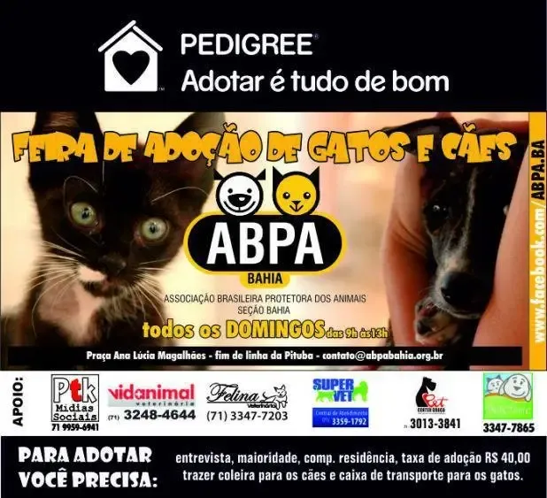 Feira de Adoção de Animais em Salvador: Encontre Seu Novo Amigo!