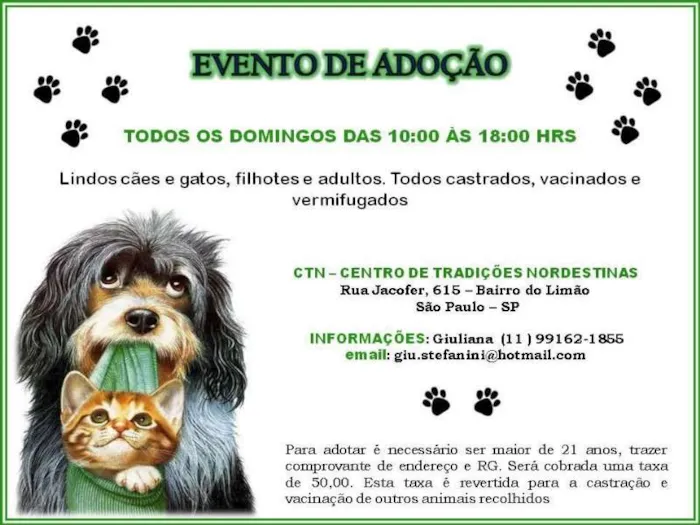Feira de Adoção de Animais: Encontre seu Novo Amigo!