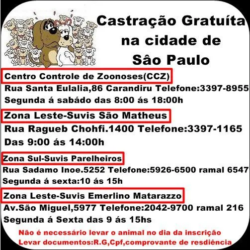 Feira de Adoção de Animais em São Paulo: Encontre seu Novo Amigo!