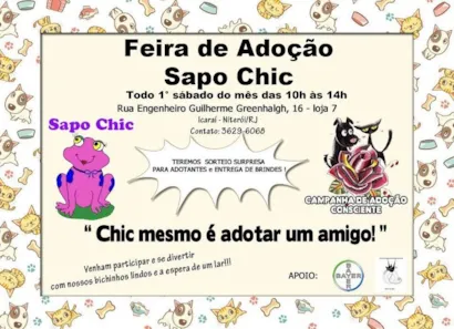 Feira de Adoção Sapo Chic em Niterói - Um encontro de corações!
