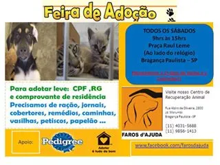 Feira de Adoção de Animais: Encontre seu Novo Amigo em Bragança Paulista!