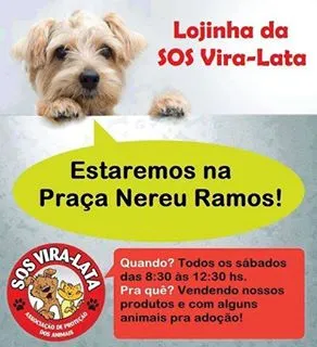 Feira de Adoção de Animais SOS Vira-Lata: Encontre Seu Novo Melhor Amigo!