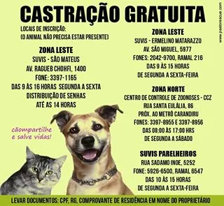 Amor em Patas: Encontre Seu Novo Melhor Amigo!