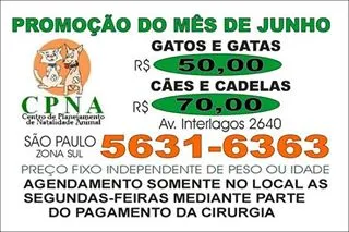 Feira de Adoção de Pets: Encontre seu Novo Melhor Amigo!