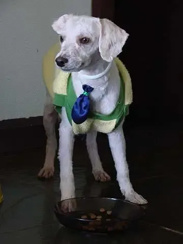 Antes e Depois de 1 TRATO