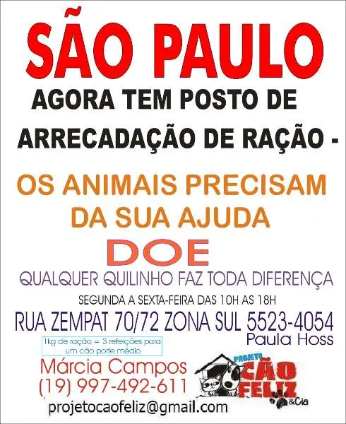 Amor e Cuidado Esperam Por Você no Evento de Adoção Animal em SP