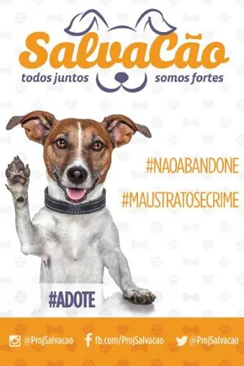 Adote um novo amigo na feira de adoção na Praça Charles Miller. Venha conhecer animais amorosos e encontre seu companheiro perfeito.