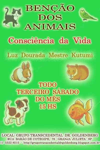 Evento de Adoção de Animais: Dê um Lar Cheio de Amor!