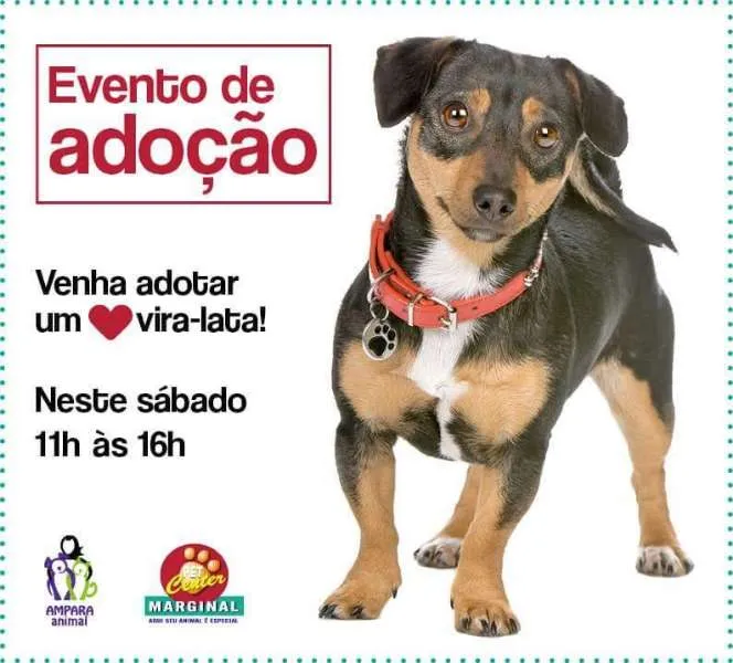 Participe da nossa feira de adoção de animais na Av. Presidente Tancredo Neves, 600. Encontre o seu novo melhor amigo! Não perca!