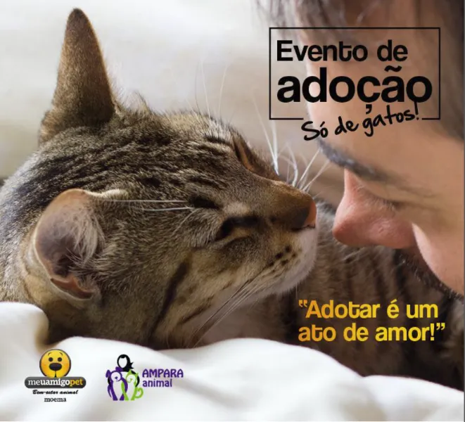 Participe da feira de adoção do Meu Amigo Pet em Moema. Endereço: Rua Gaivota, 1458. Encontre seu novo melhor amigo e faça a diferença!