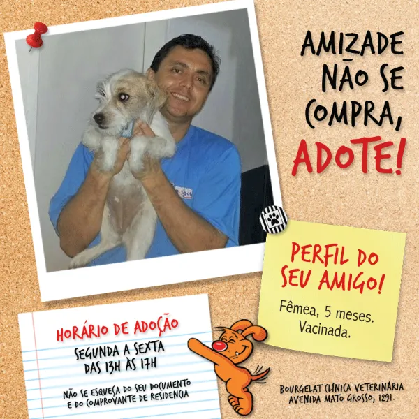 Encontre seu novo melhor amigo: Feira de Adoção em Campo Grande!