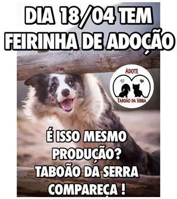 Participe da feira de adoção no CCZ e encontre seu novo amigo de quatro patas. Venha dar uma chance a um animal e transforme vidas!
