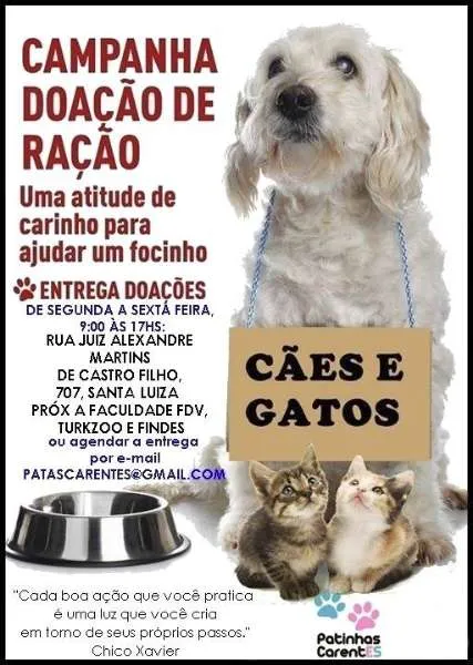 Aconchego e Amor: Adote um Novo Companheiro em Vitória!