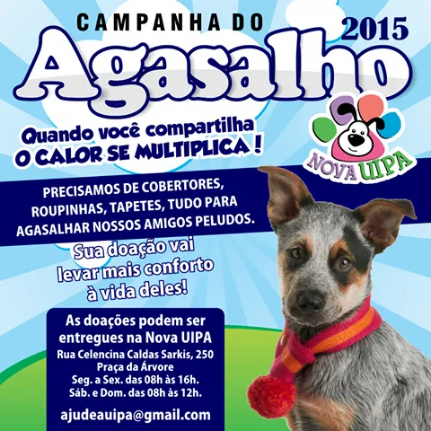 Feira de Adoção Itapira - Encontre seu Novo Amigo Peludo!