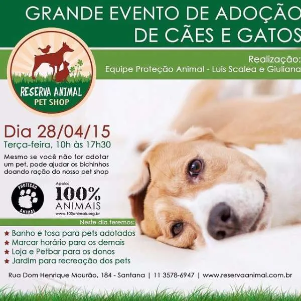 Participe da feira de adoção de animais em Santana. Encontre seu novo amigo e faça a diferença! Venha adotar um pet que precisa de você.