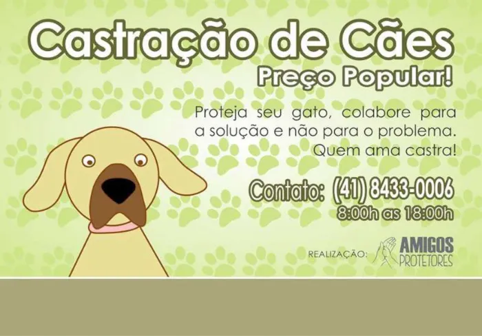 Encontre seu novo amigo! Participe da feira de adoção em Curitiba de 13 a 19 de janeiro de 2024 e adote um cachorro ou gato já preparado para um lar amoroso.