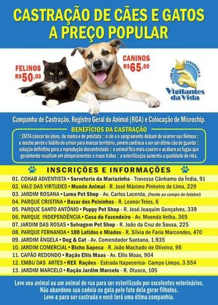 Encontre seu Novo Amigo: Grande Evento de Adoção de Animais em SP!