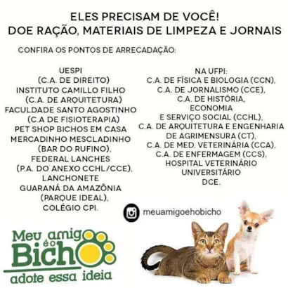 Semana de Adoção "Meu Amigo Bichinho" em Teresina: Uma Nova Chance de Amor!