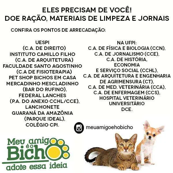 Semana de Adoção "Meu Amigo Bichinho" em Teresina: Uma Nova Chance de Amor!