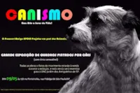 Cachorros e Adoção: Arte em Movimento