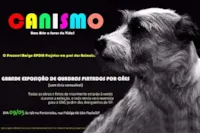 Cachorros bancam os artistas em ação criativa para incentivar a Adoção